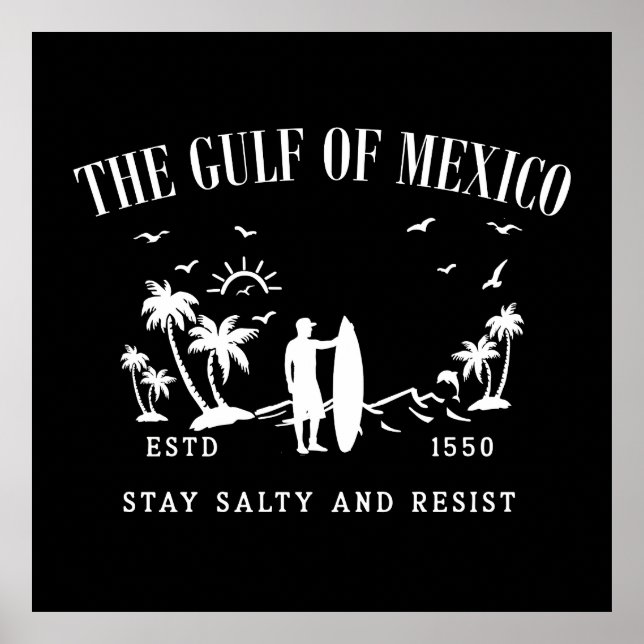 Poster Le golfe du Mexique reste salé et résiste (Devant)