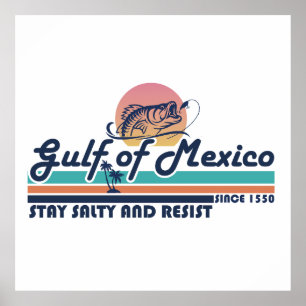 Poster Le golfe du Mexique reste salé et résiste à la pêc