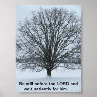 Poster Le grand chêne