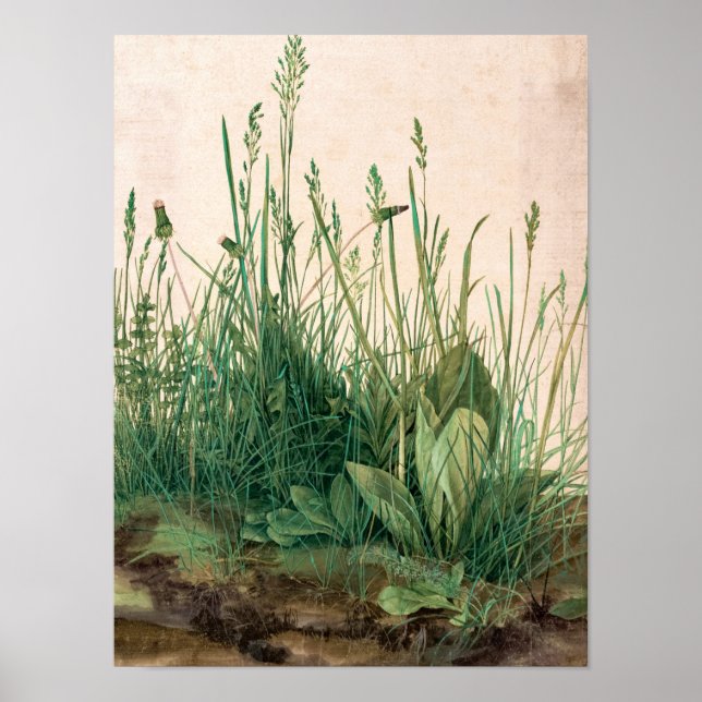 Poster Le Grand Morceau de Turf, 1503 par Albrecht Durer (Devant)