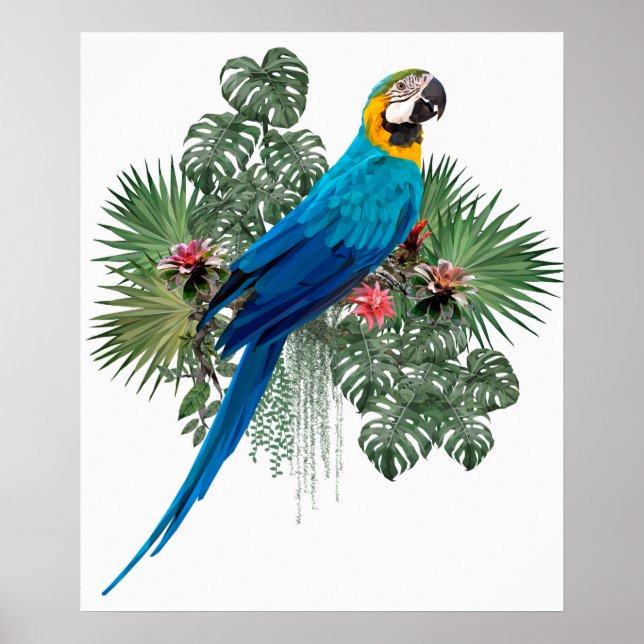 Poster Le grand oiseau de la nature (Devant)