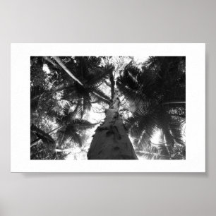 Poster Le gris au-dessus de l'Australie Photo noir et bla