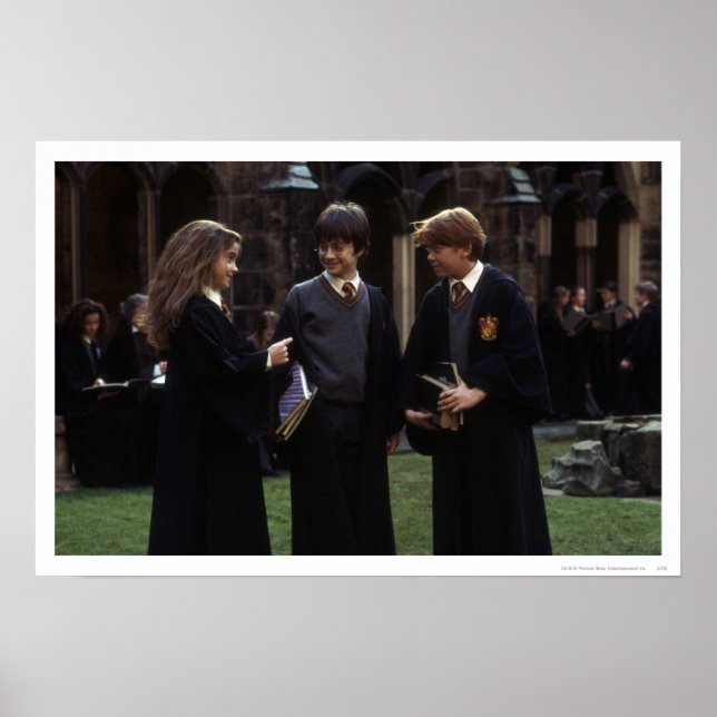 Poster Le groupe en dehors de Hogwarts (Devant)