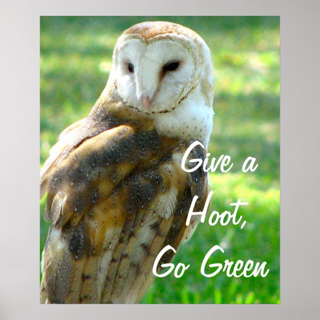 Poster Le hibou donne un coup de pied (Devant)