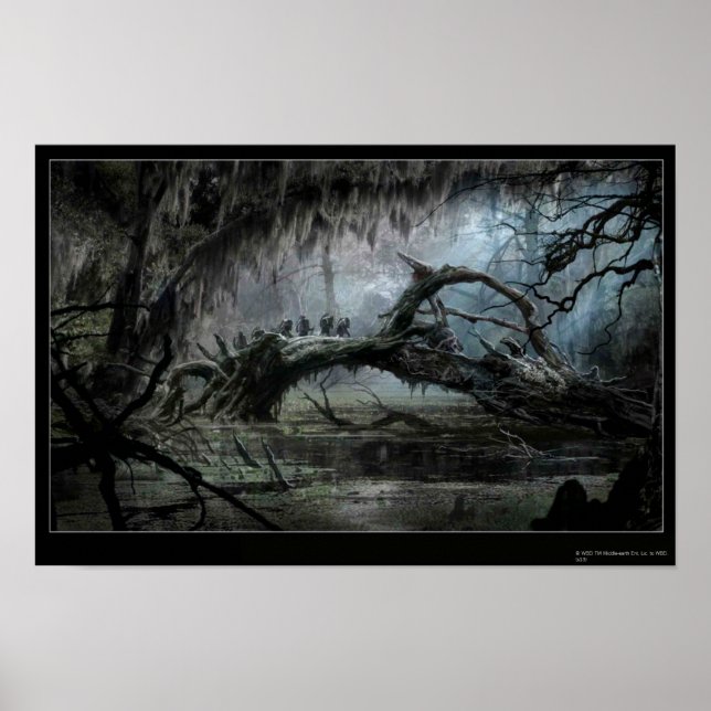 Poster LE HOBBIT : DESOLATION DE SMAUG™ Concept Art 3 (Devant)