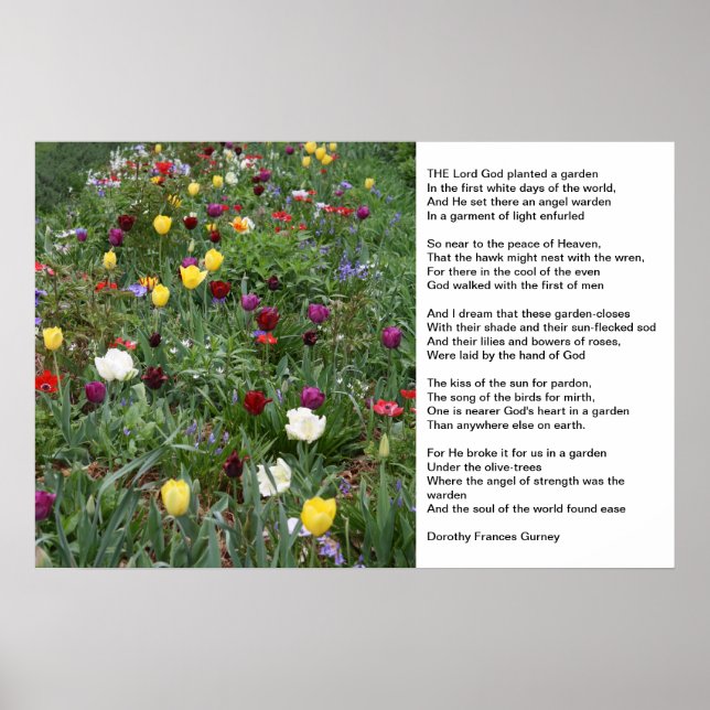 Poster Le jardin de Dieu (Devant)