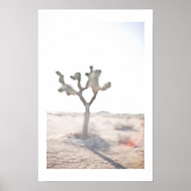 Poster Le Joshua Tree (Devant)