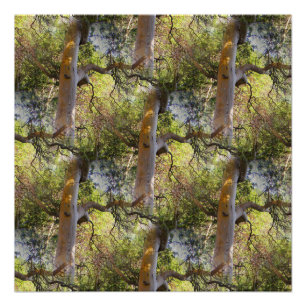 Poster Le Jour des Arbres...