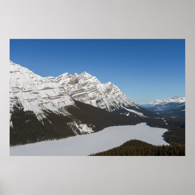 Poster Le lac de Peyto enneigé de Jasper (Devant)