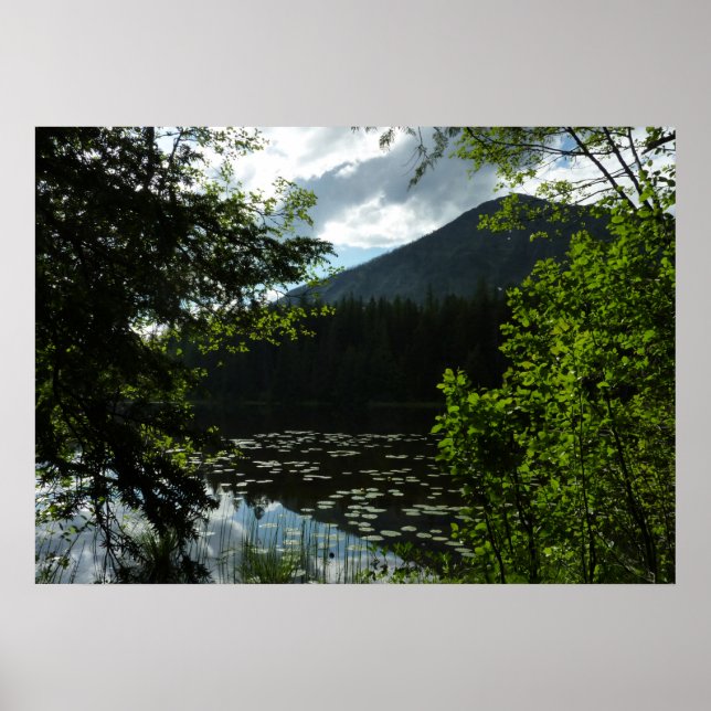 Poster Le lac Johns I du parc national des Glaciers (Devant)