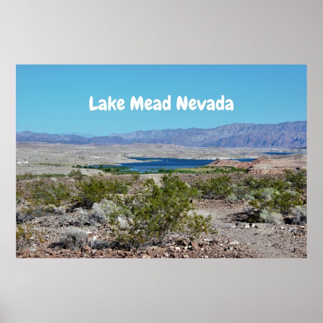 Poster Le lac Mead Nevada (Devant)