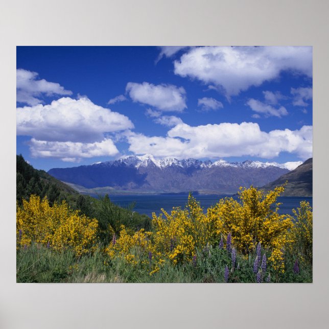 Poster Le lac Wakatipu et les Remarkables, Queenstown, (Devant)