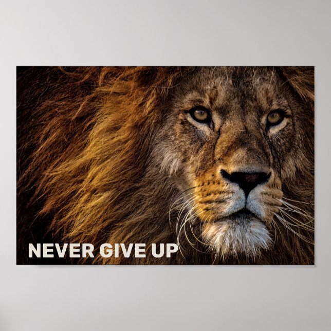Poster Le Lion - N'abandonnez jamais (Devant)