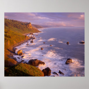 Poster Le littoral de Redwoods, Californie