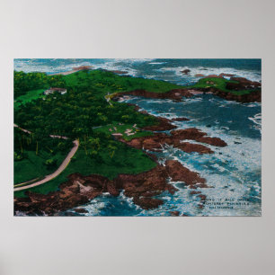 Poster Le long de 17 miles Drive sur la péninsule de Mont