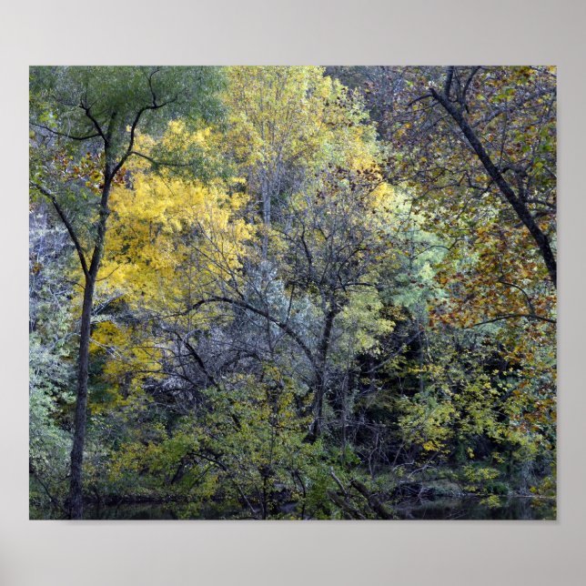 Poster Le long de la rivière Brandywine (Devant)