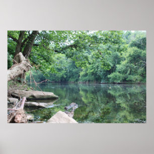 Poster Le long des rivières et des roches