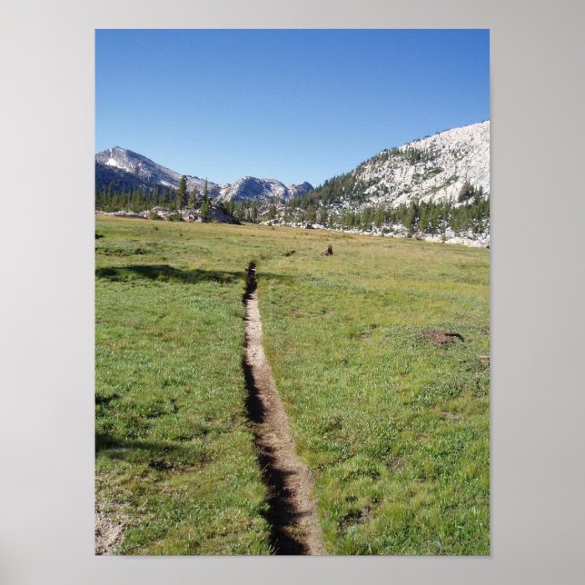 Poster Le Long Trail (Devant)