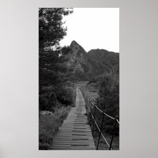 Poster Le long voyage