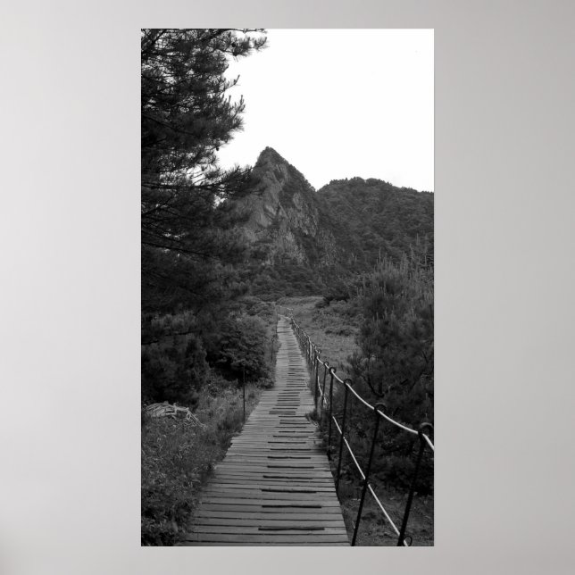 Poster Le long voyage (Devant)