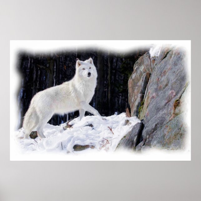 POSTER LE LOUP BLANC (Devant)