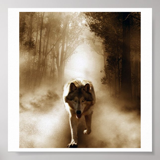 Poster Le loup de Loki (Devant)