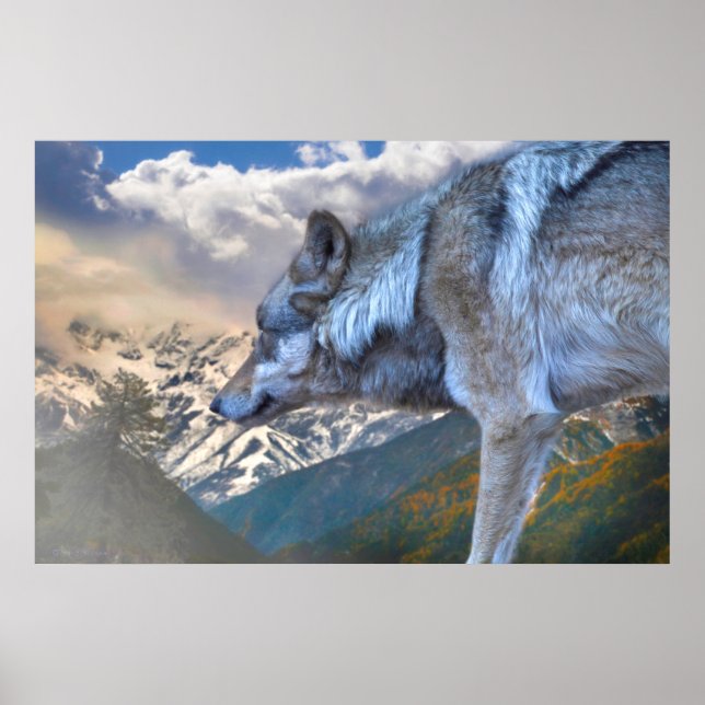 POSTER LE LOUP SEUL SURPLORE LA LIBERTÉ (Devant)