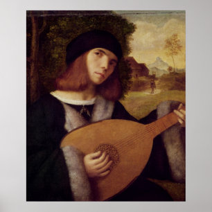 Poster Le Lute Player