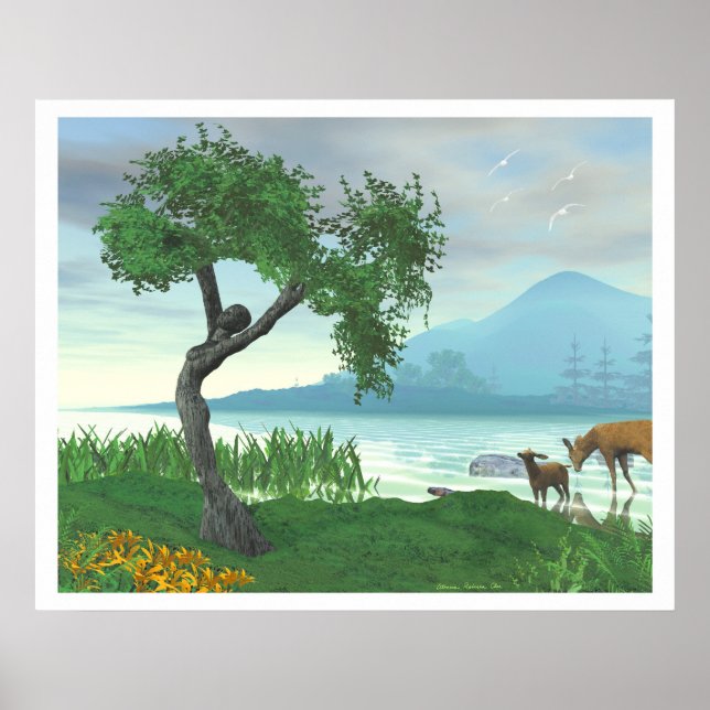 Poster Le Maïden Tree (Devant)