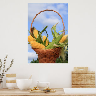 Poster Le maïs sur l'affiche du Cob