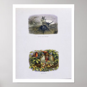 Poster Le Messager de la Reine des Fées, et Elfe et Choue