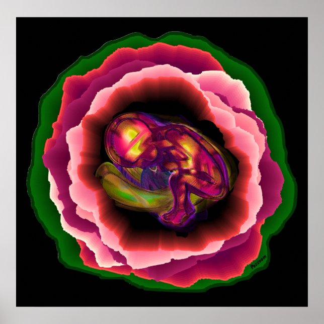 Poster Le miracle de la vie (Devant)