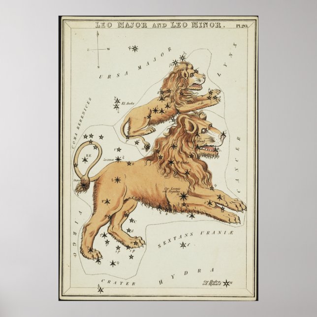 Poster Le miroir d'Urania - Leo Major et Leo Minor (Devant)