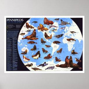 Poster " Le monde : 1987 Pinniped around the World ...