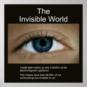 Poster Le monde invisible