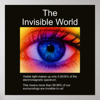 Poster Le monde invisible