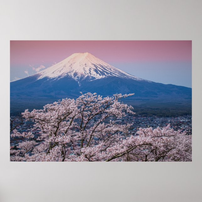 Poster Le mont Fuji et les fleurs de cerisiers (Devant)