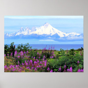 Poster Le mont Iliamna Alaska