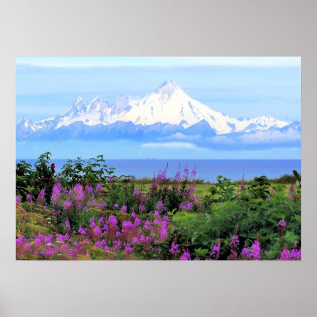 Poster Le mont Iliamna Alaska (Devant)