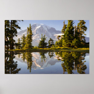 Poster Le Mont Rainier se reflète dans une tarte près de 