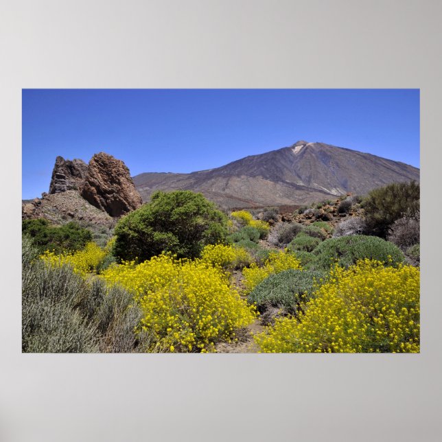 Poster Le mont Teide sur l'île des Canaries (Devant)