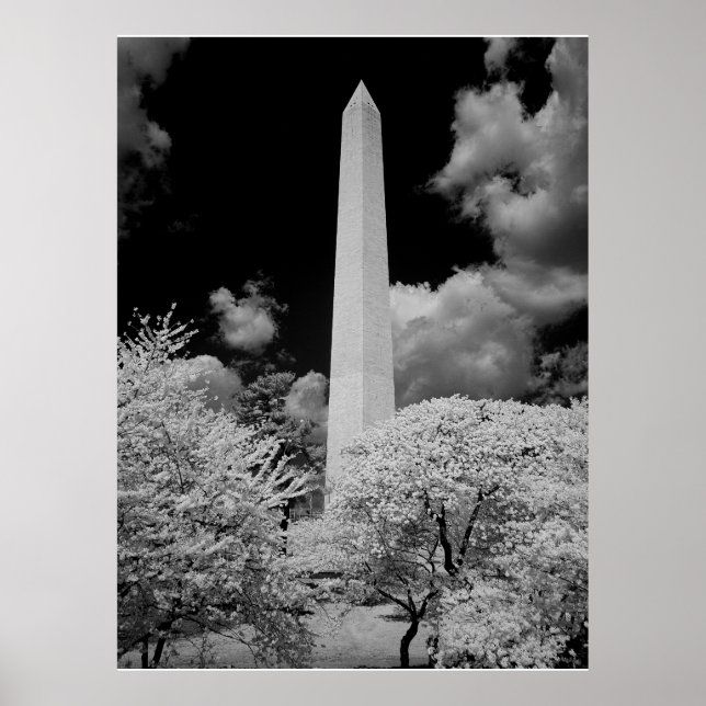 Poster Le monument de Washington (Devant)