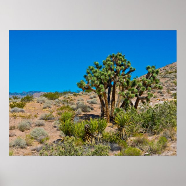 Poster Le Monument national de Gold Butte (Devant)