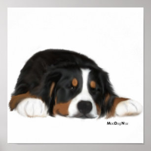 Poster Le mouchard de MadDog une copie de coup d'oeil