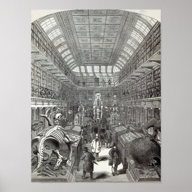 Poster Le musée hongrois (Devant)