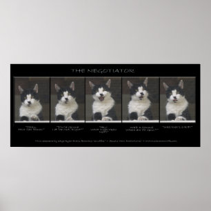 Poster "LE NÉGOCIATEUR" Drôle séquence photo chat