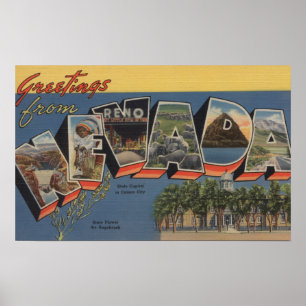 Poster Le Nevada (capitale de l'État/fleur)