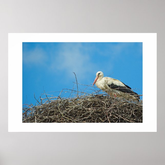 Poster Le nid de la cigogne (Devant)