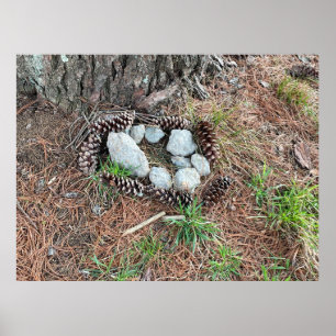 Poster Le nid d'Izzy