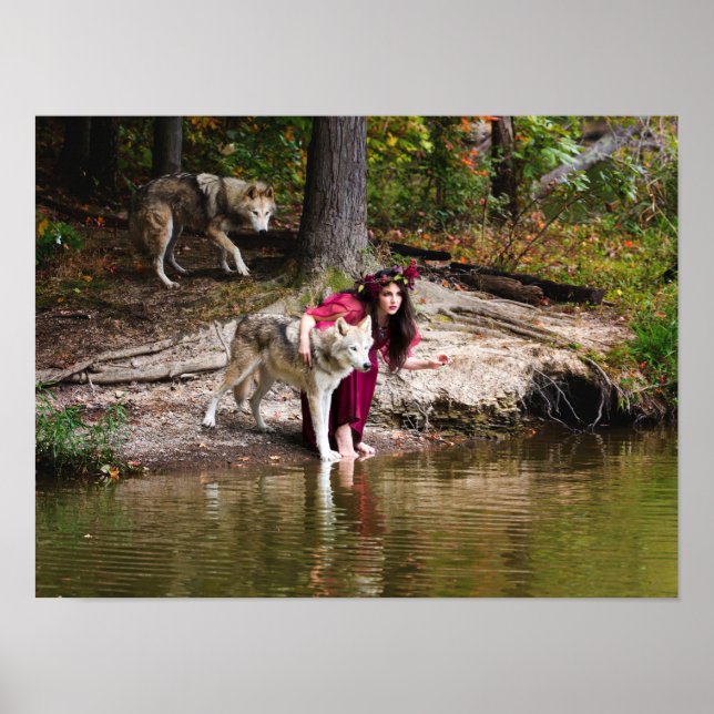 Poster Le pack (Devant)